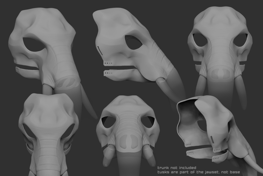 African elephant - Head base