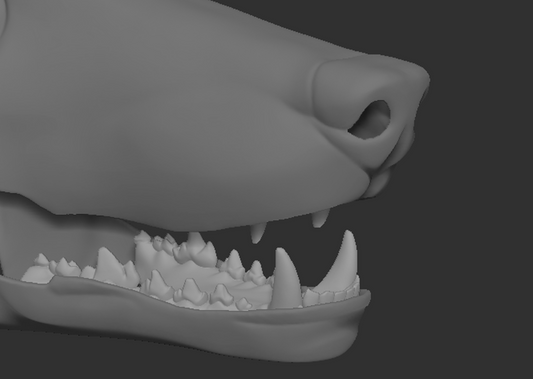 Anubis/Anubian jackal - Jawset