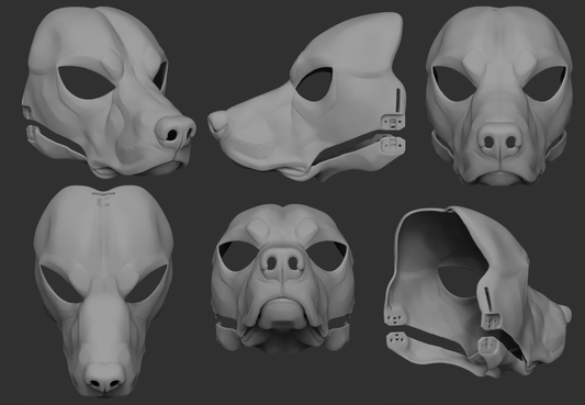 Labrador or golden retriever/Domestic dog no. 5 - Head base