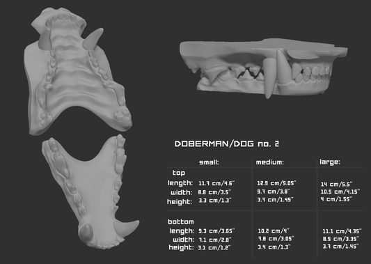 Doberman/Domestic dog no.2 - Jawset