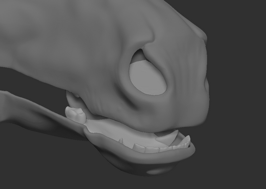 Horse/Equine - Jawset