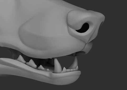 Generic simplified canine - Jawset