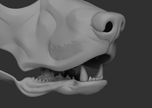 Labrador or golden retriever/Domestic dog no.5 - Jawset