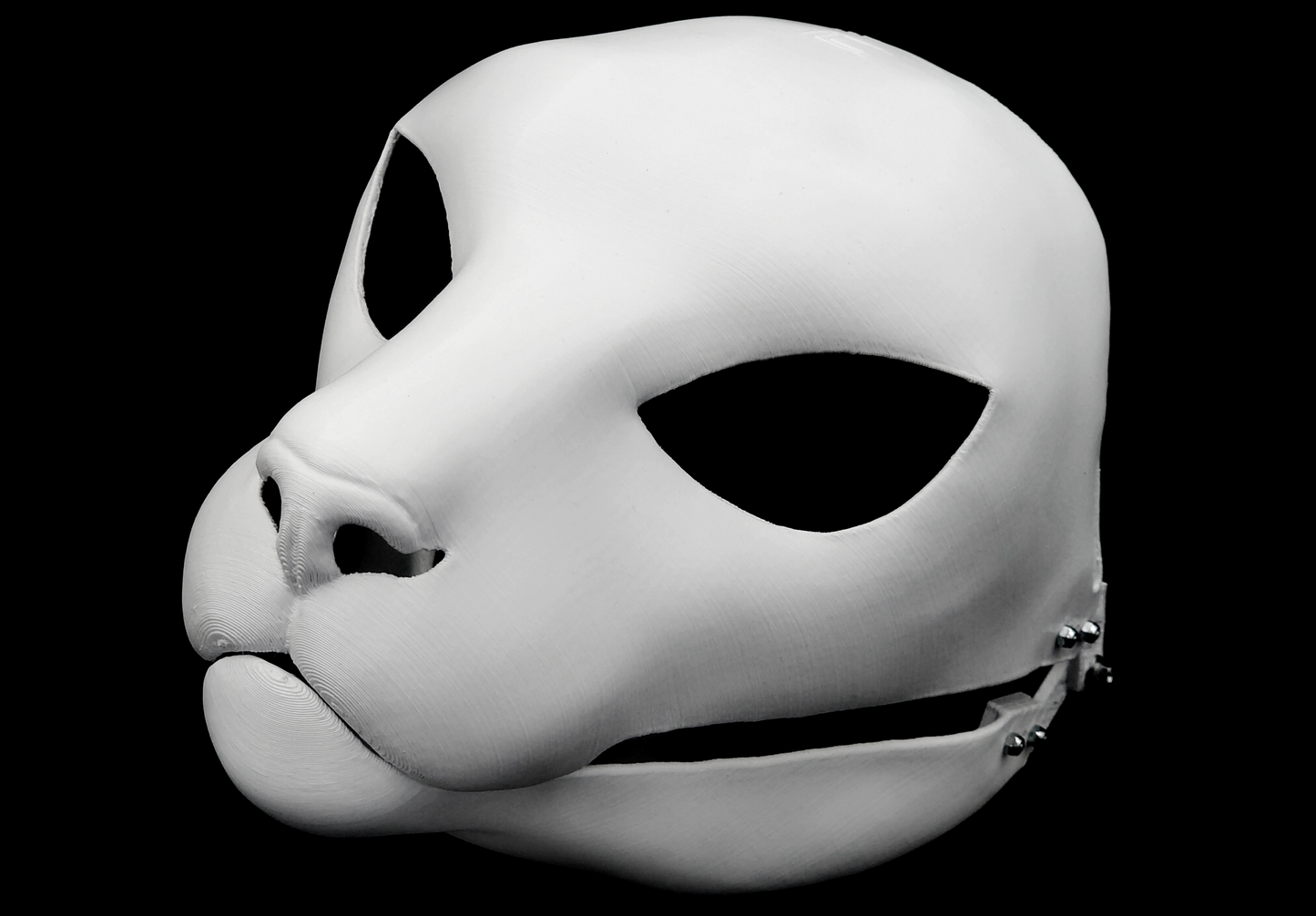 Cat/Small feline - Head base