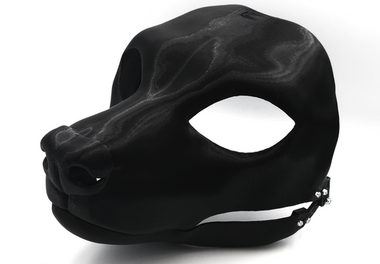 African wild/painted dog - Head base