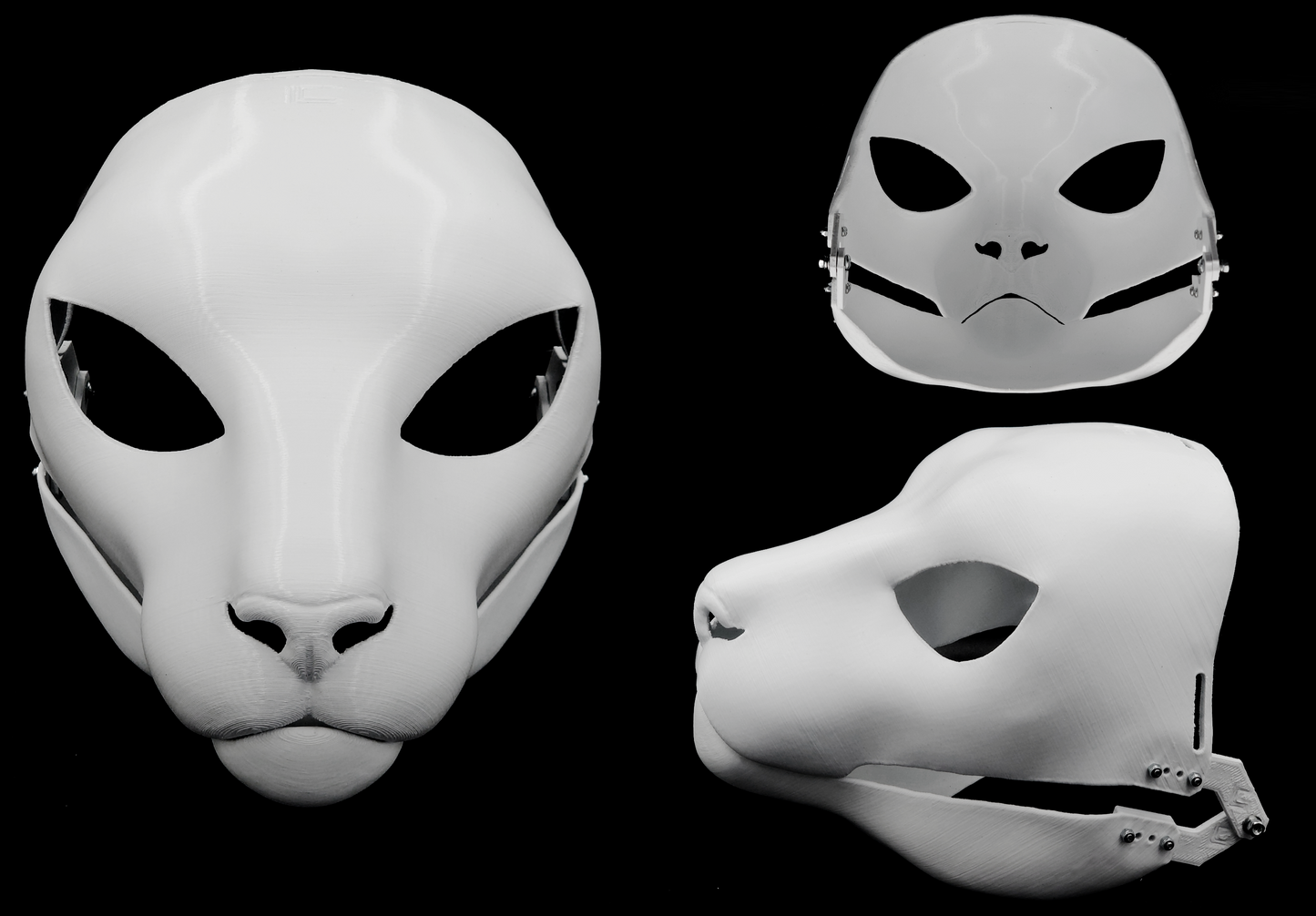 Cat/Small feline - Head base
