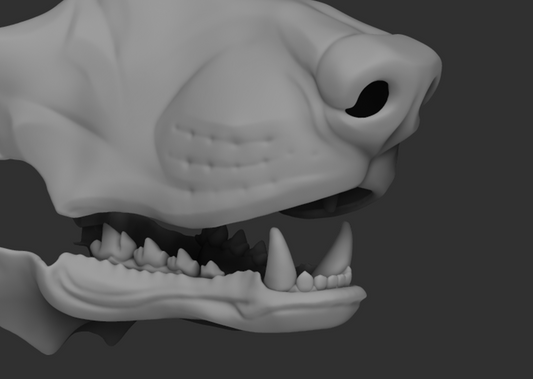 Standard poodle/Slim hunting dog - Jawset