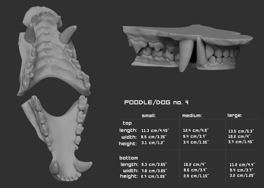 Standard poodle/Slim hunting dog - Jawset