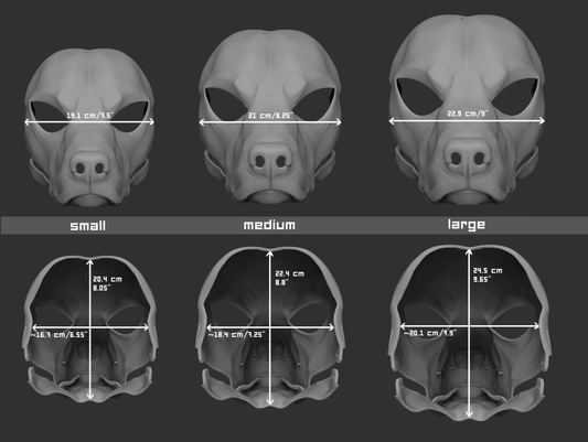 Labrador or golden retriever/Domestic dog no. 5 - Head base