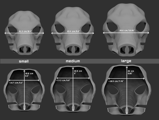 African elephant - Head base