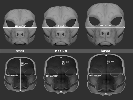 Pitbull, amstaff/Domestic dog no. 3 - Head base