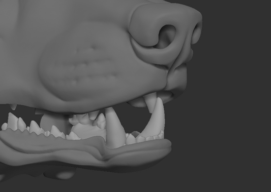 Wolf/Canine no. 1 - Jawset