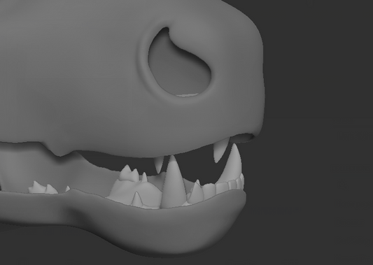 Dutch Angel Dragon - Jawset