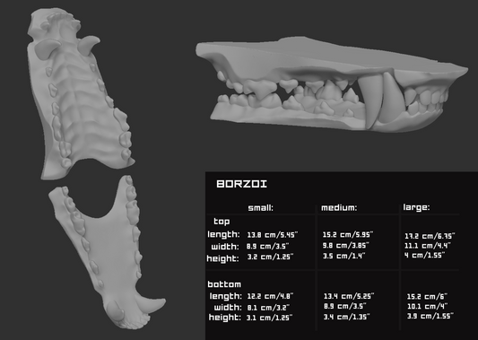 Borzoi/Domestic dog no. 1 - Jawset