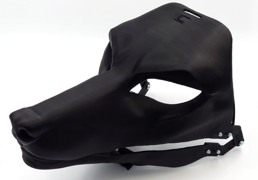 Anubis/Anubian jackal - Head base