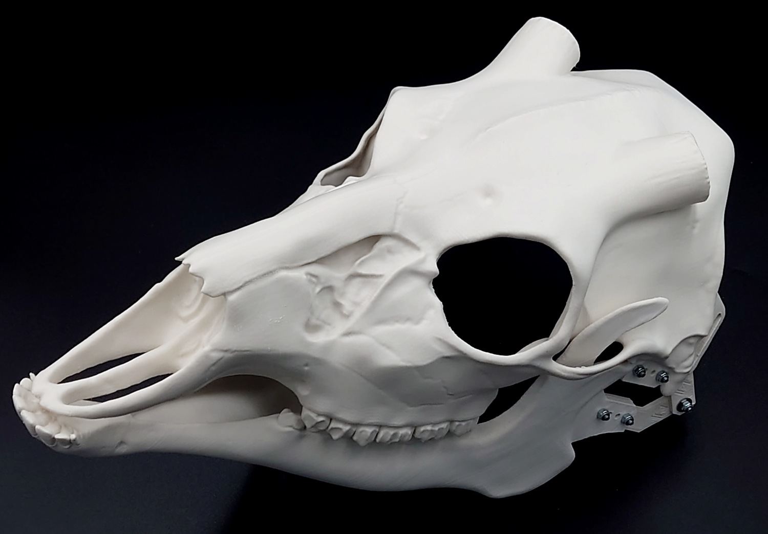 Skull bases