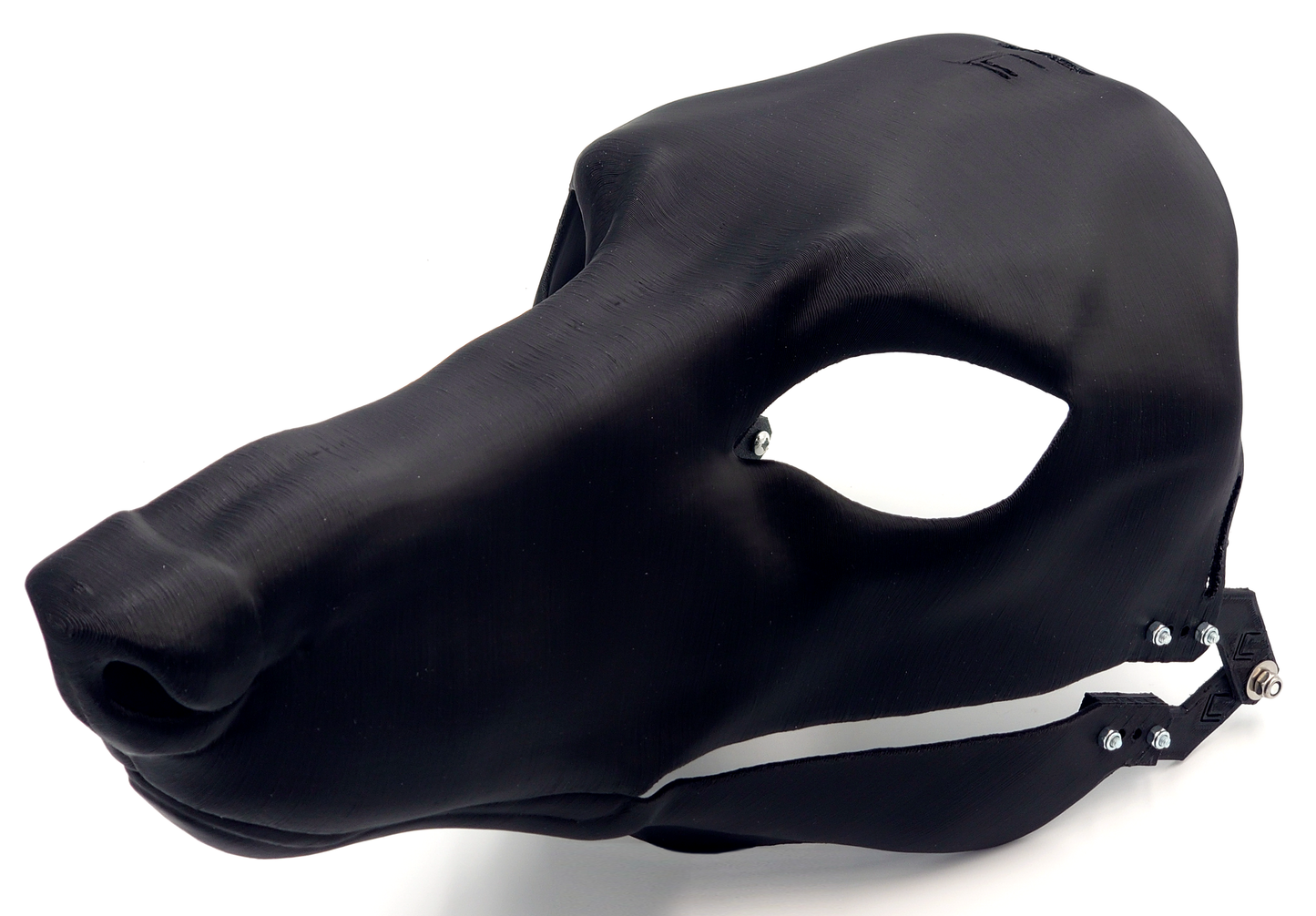 Borzoi/Domestic dog no. 1 - Head base