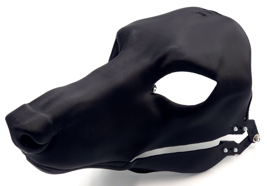 Borzoi/Domestic dog no. 1 - Head base