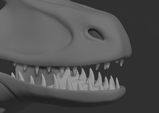 Raptor/Dromaeosaurus - Jawset