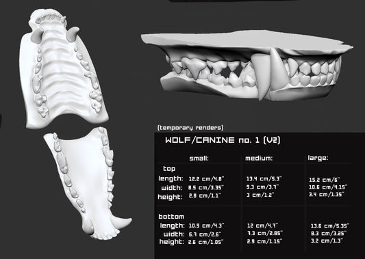 Generic simplified canine - Jawset