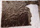 Efutro tipped brown foxtrot