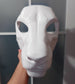 Discounted large Eastern dragon head base, variant 3