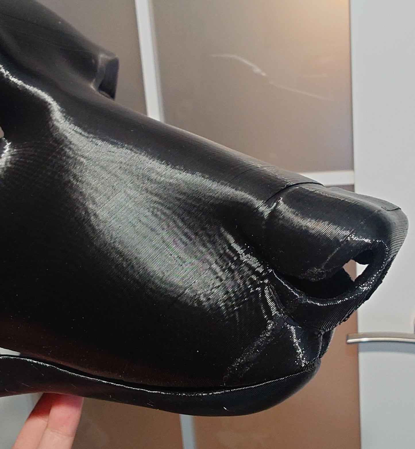 Discounted medium old canine head base, variant 4 no. 2