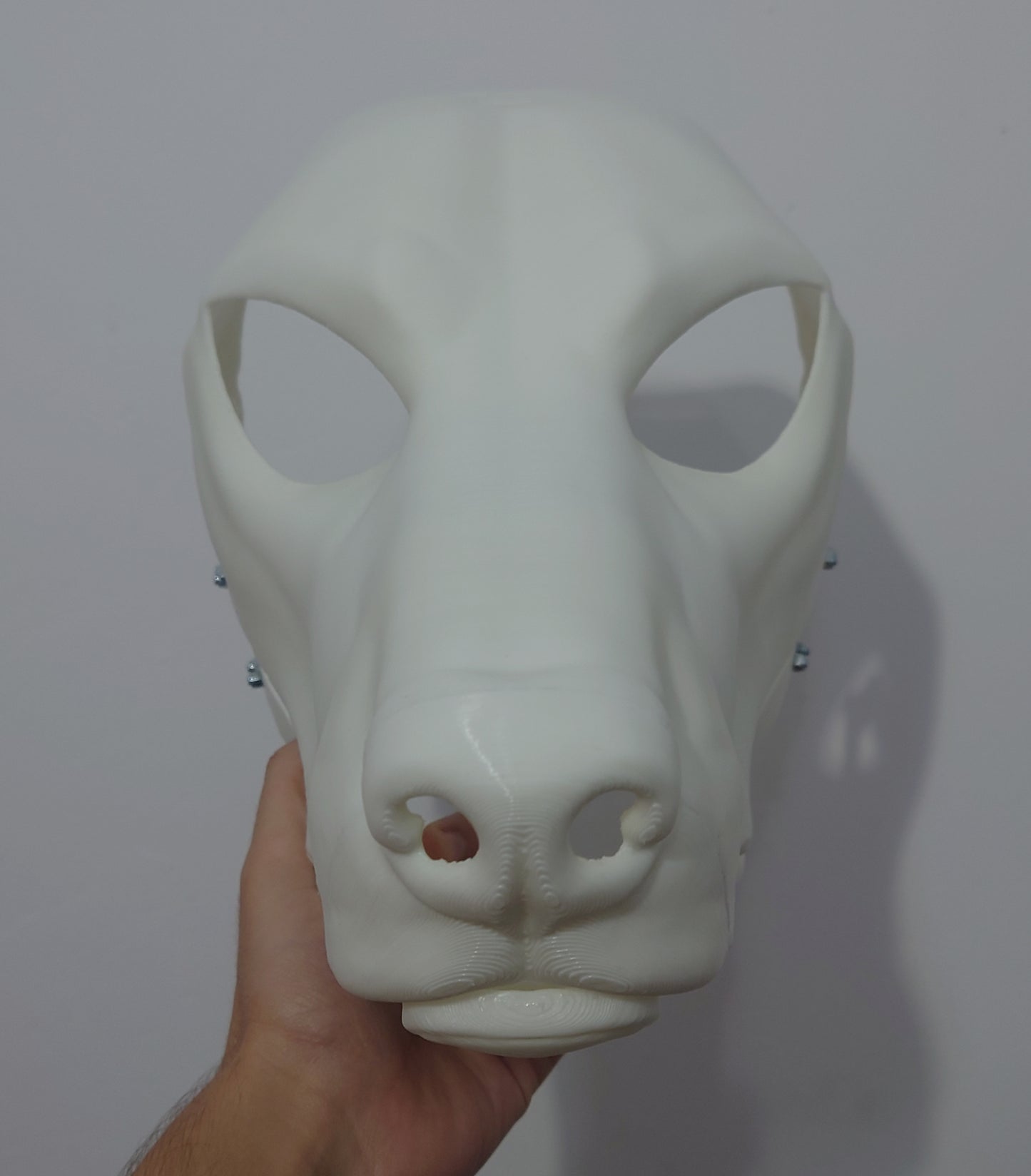 Discounted medium doberman head base, variant 3