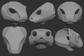 Gray 3D models of a cobra snake mask or fursuit base from different angles on a dark background.