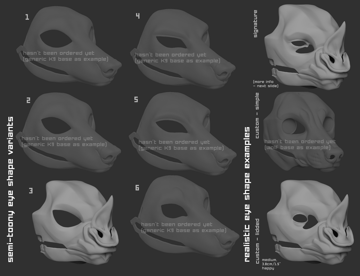 Spear-nosed bat - Head base