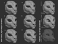 Snow leopard/Big cat no. 3 - Head base