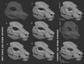 Slim Eastern dragon - Head base