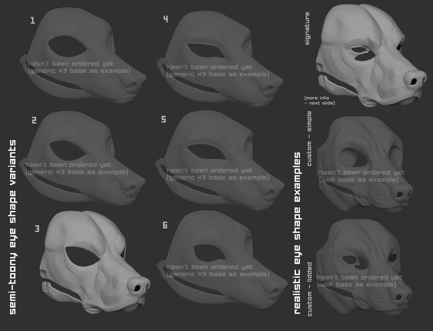 Labrador or golden retriever/Domestic dog no. 5 - Head base