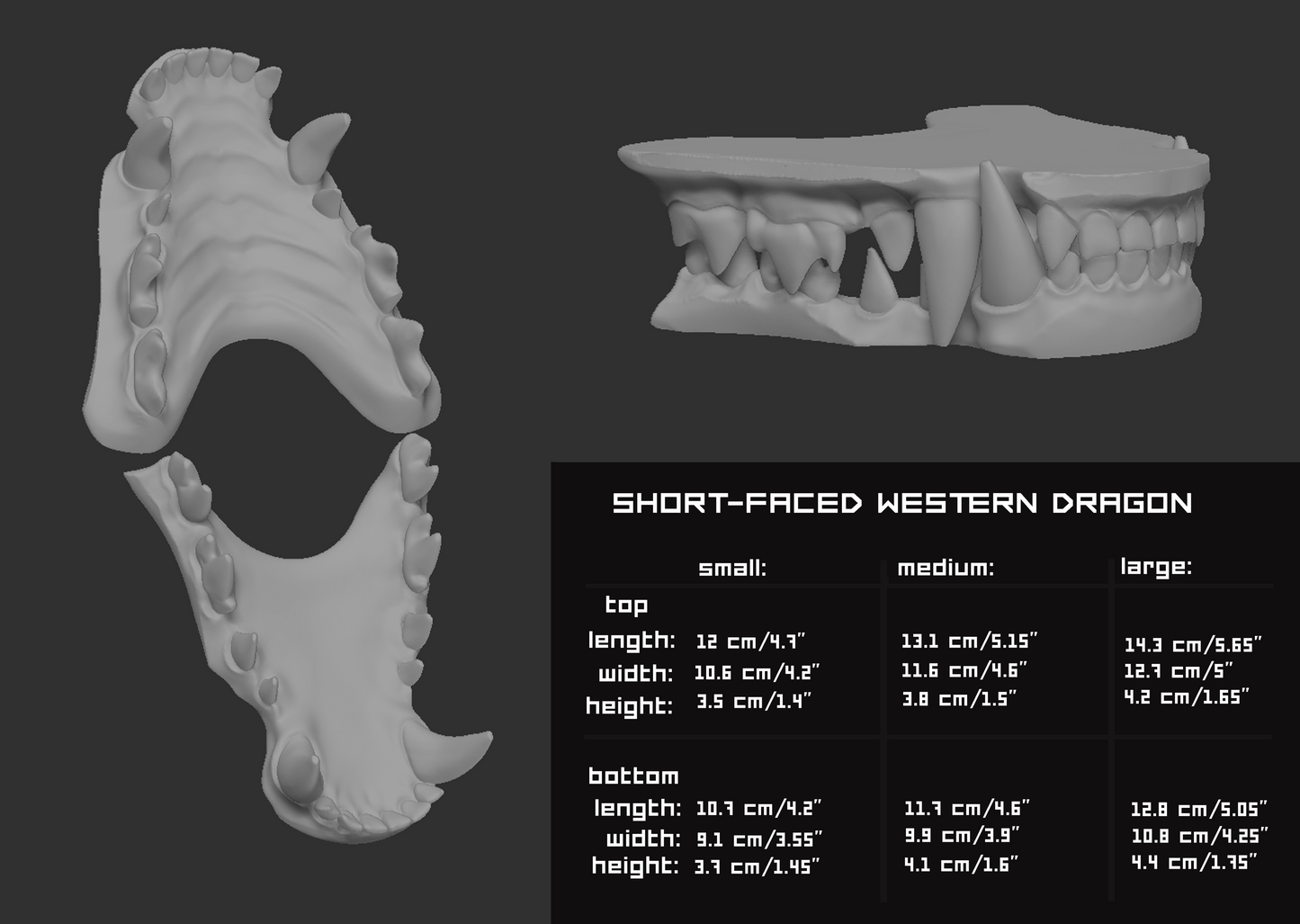 Short-faced Western dragon - Jawset