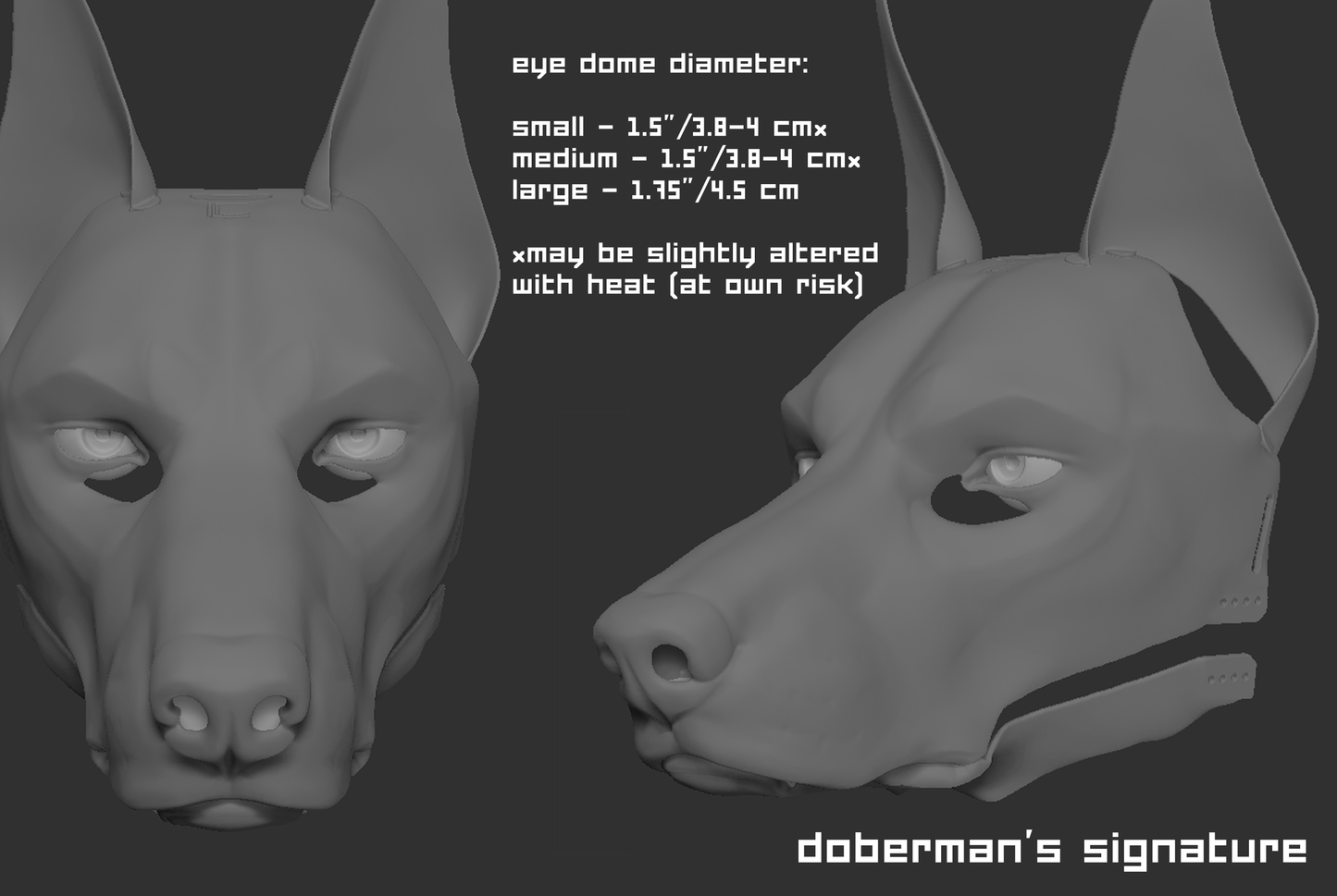 Doberman/Domestic dog no. 2 - Head base