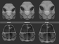Hare - Head base