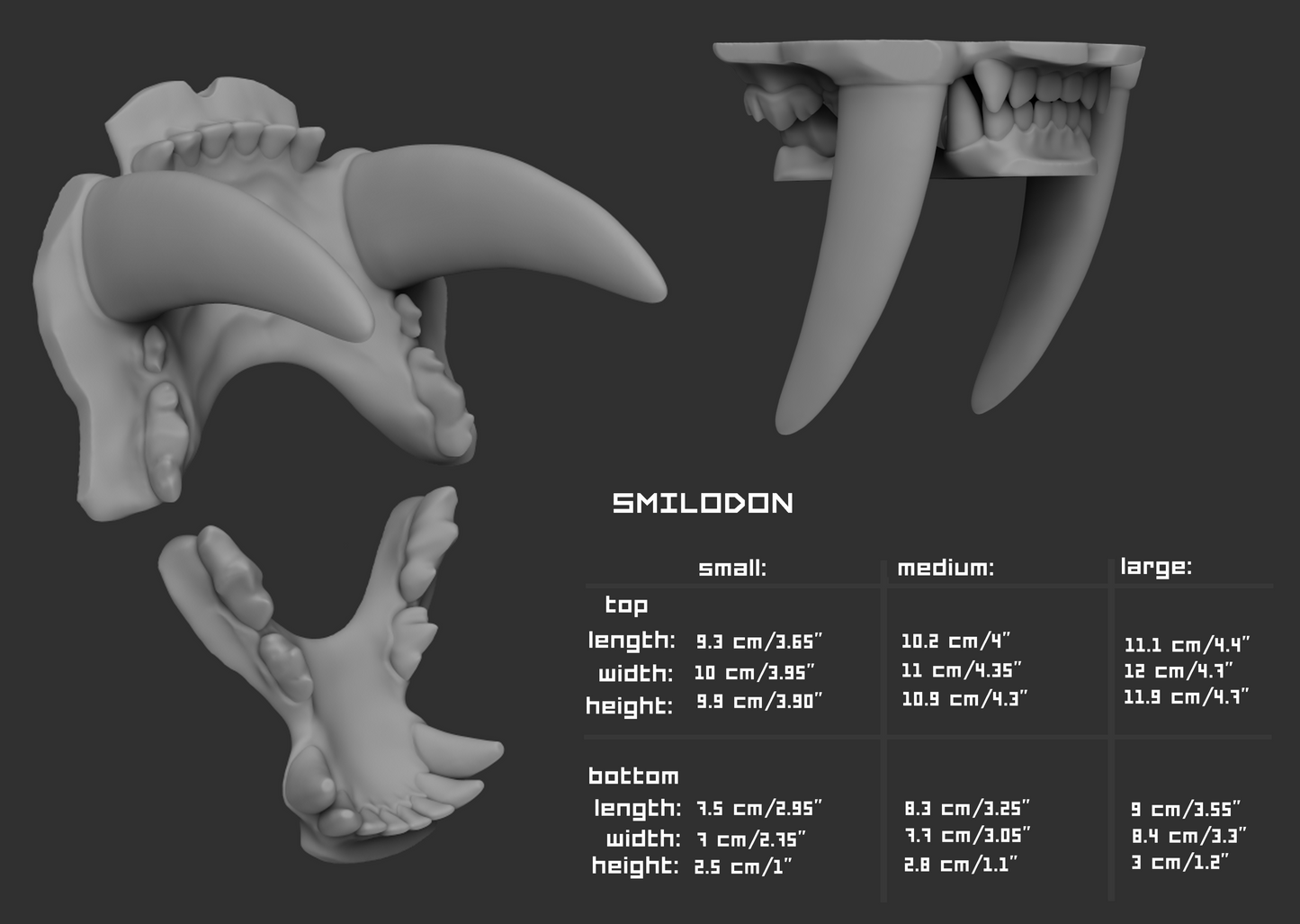 Smilodon/Sabertooth cat or tiger - Jawset