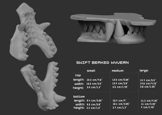A dark gray informational graphic showing 3D renders of a beaked wyvern jaw from multiple angles, with size tables labeled small, medium, and large. The text reads 'SWIFT BEAKED WYVERN' and includes measurements for top and bottom length, width, and height.