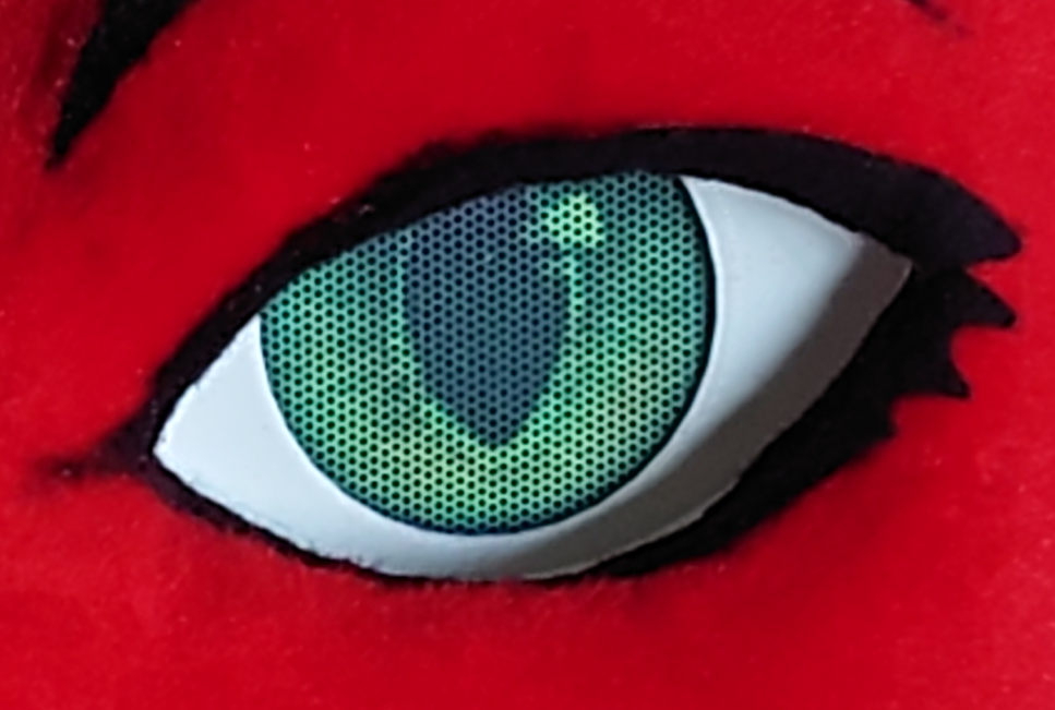 Pre-printed eye mesh