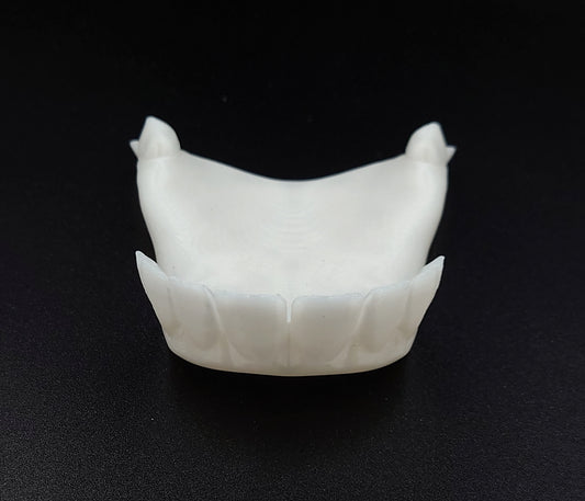 Medium pearl deer lower jaw (flawless)