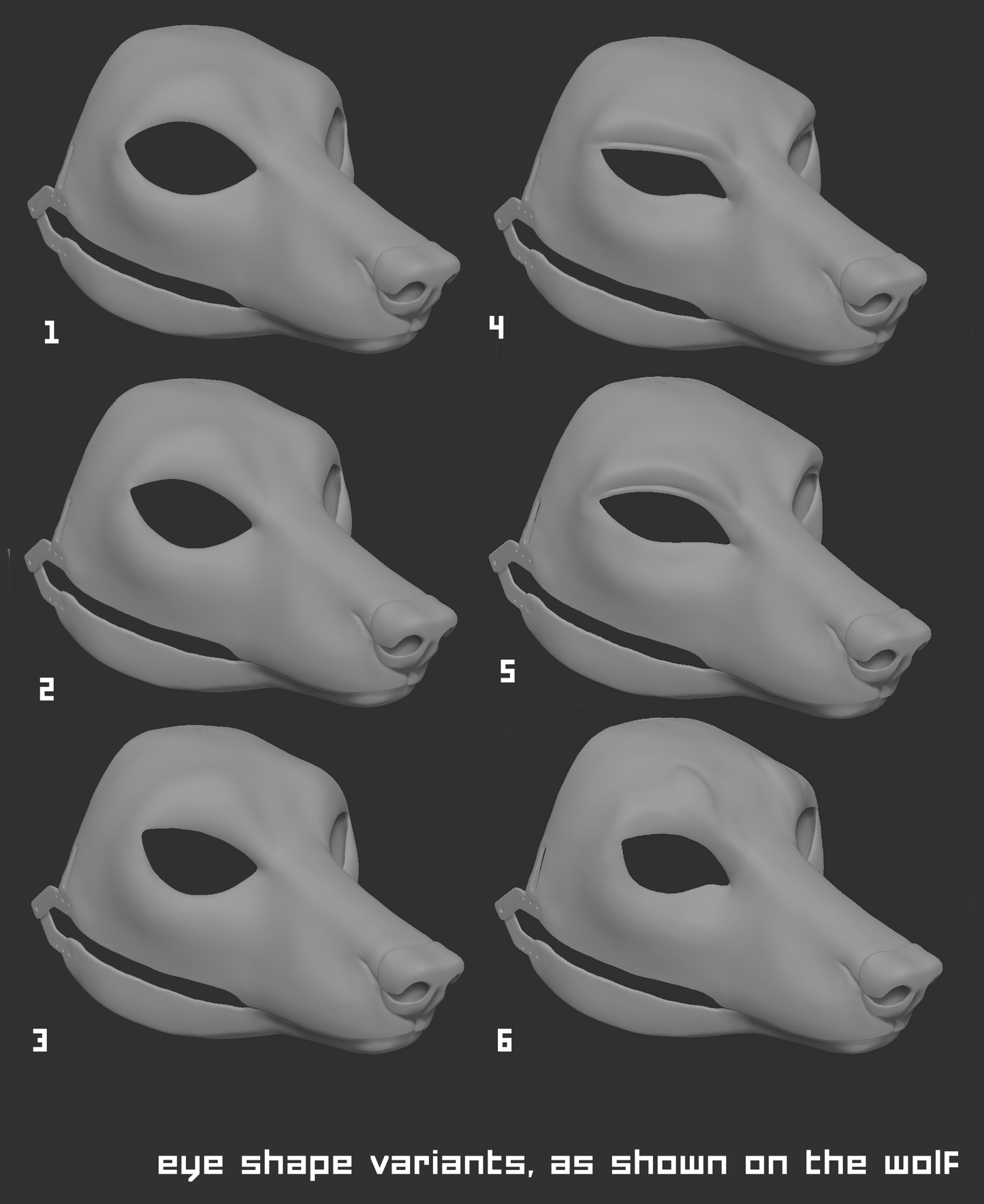 African wild/painted dog - Head base