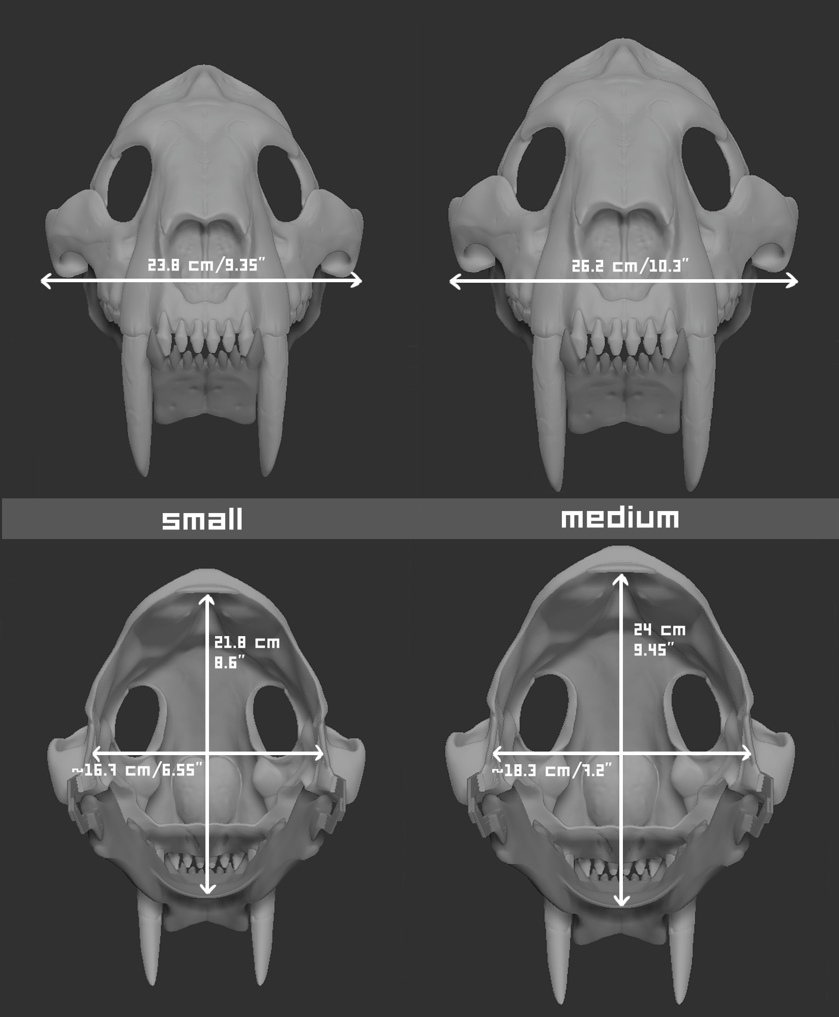 Smilodon/sabertooth cat - Skull base – Ligris Cybernetics